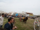 Fiera