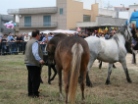 Fiera