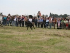 Fiera