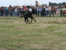 Fiera