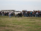 Fiera