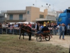 Fiera
