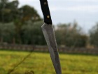 Il