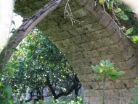 Ingiro