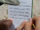 Ingiro