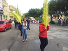 La Benedizione delle Palme a Noha. 13.04.2014