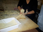 Lavori