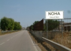 Noha