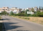 Noha