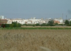 Noha