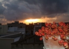 Noha