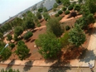 Noha