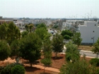 Noha