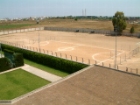 Noha