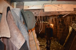 Presepe