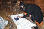 Presepe