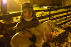 Presepe