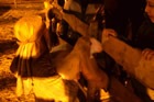 Presepe