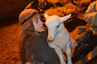 Presepe