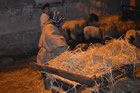 Presepe
