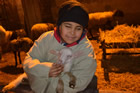 Presepe
