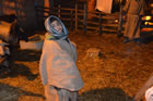 Presepe