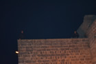 Presepe