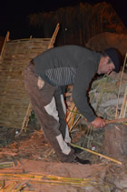 Presepe