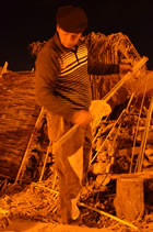 Presepe