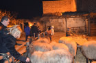 Presepe