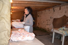 Presepe
