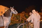 Presepe