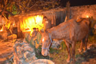 Presepe