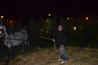 Presepe