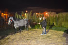 Presepe