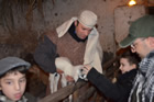Presepe