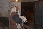 Presepe