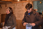 Presepe