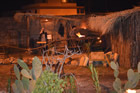 Presepe