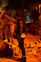 Presepe