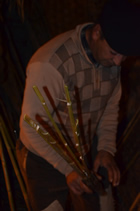 Presepe
