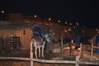Presepe