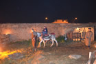 Presepe