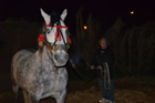 Presepe
