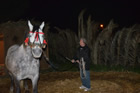 Presepe