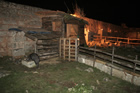 Presepe