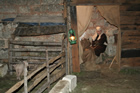 Presepe