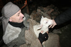 Presepe
