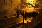 Presepe