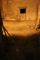 Presepe